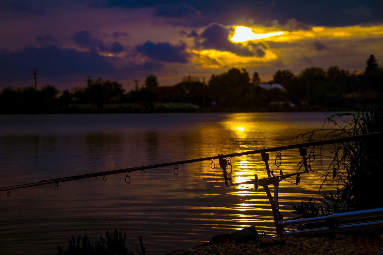 Liber la braconaj? Interzis la pescuit noaptea pe Dunare de la Calarasi in jos, Delta si barajele Oltului.